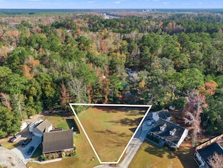 6425 Mossy Rock Ct, Castle Hayne, NC 28429