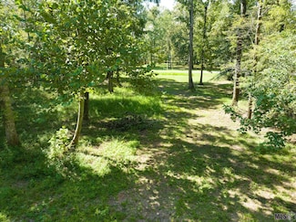 14039 Clubhouse Way, Saint Francisville, LA 70775
