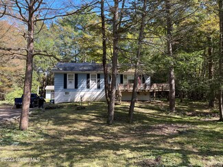 63 Clearwater Dr, Cairo, NY 12413