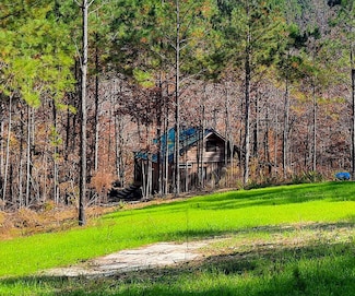 0 County Road 3065, Double Springs, AL 35553