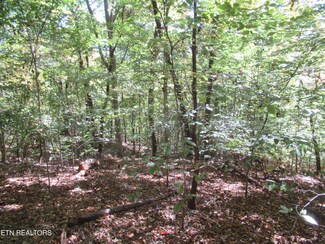 0 Riverside Dr, Knoxville, TN 37914