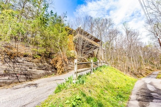 1005 Beach Hollow Ct, Sevierville, TN 37876