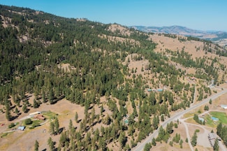 0 Tbd Klondike Rd, Republic, WA 99166