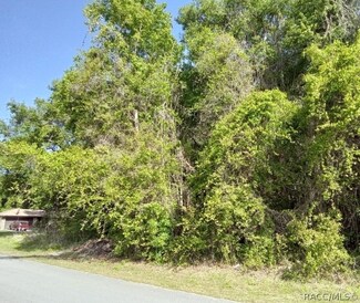 6317 E Peach St, Inverness, FL 34452