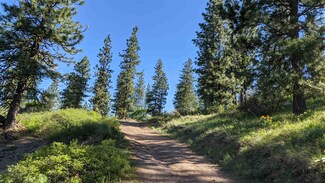 NNA Wrights Mountain #2, Chewelah, WA 99109