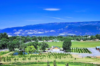 1036 E Main St, Cedaredge, CO 81413