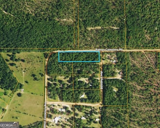 0 Palmer Cemetery Rd Unit 10588100, Box Springs, GA 31801