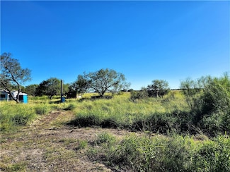 14455 County Road 1412, Morgan Farm Area, TX 78387