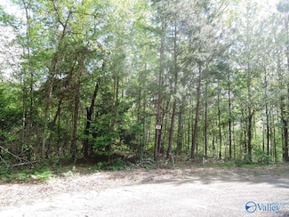 Lot 77 Broken Arrow, Jasper, AL 35504