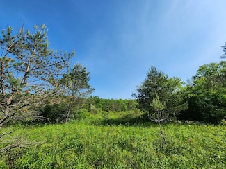 0 Marsh Rd, Erin, NY 14838