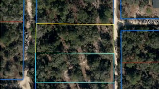 TBA NE 104th Ct, East Bronson, FL 32621
