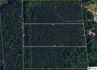 4.88 Acres Tract "C2" Off Butler Cup Rd, Pamplico, SC 29583
