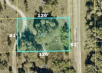 722 Bluebird Ave, Lehigh Acres, FL 33974