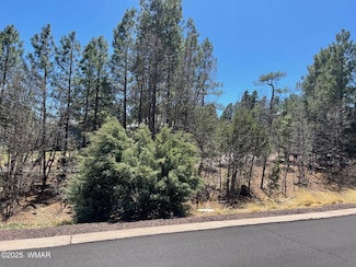2621 Marshalls Run, Show Low, AZ 85901