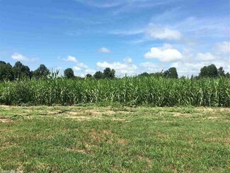 0000 Hwy 62, McDougal, AR 72441