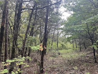 0 Grassy Gap Rd W, Bergman, AR 72601