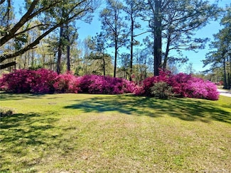 19035 Louisiana 1061, Amite City, LA 70422