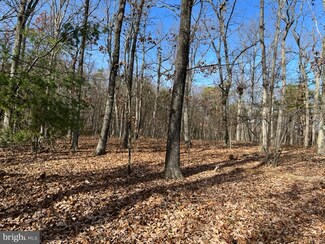 0 N Timber Ridge Rd Unit VAFV2010140, Cross Junction, VA 22625