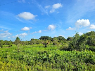 21815 NW 276th St, Okeechobee, FL 34972