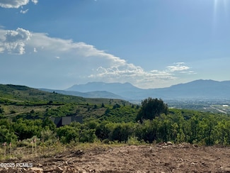 7321 E Oakview Dr Unit 1473, Heber City, UT 84032