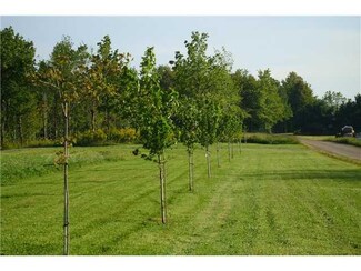0 Emerald Point Rd Unit R178546, Sodus, NY 14551