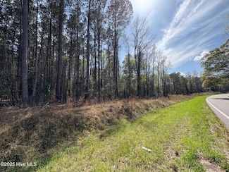 0000 Beattys Bridge Rd, Atkinson, NC 28421