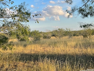 TBD County Road 474 Tract 4, Stockdale, TX 78160