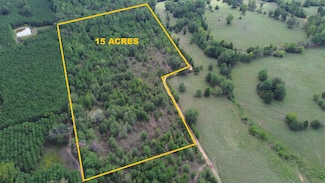 AB 77 County Road 1675, Grapeland, TX 75844