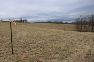 0 Zinc Rd, Bergman, AR 72601