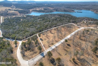 Lots 1,2,3 Cedar Bend Rd, Williams Township, MO 65747