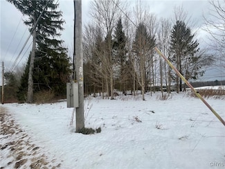 0 Emery Rd Unit S1654552, Volney, NY 13069