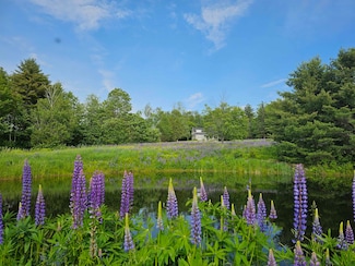 171 Pollard Rd, Grafton, VT 05146