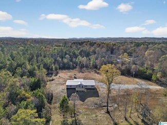 3350 Peeks Hill Rd, Ohatchee, AL 36271
