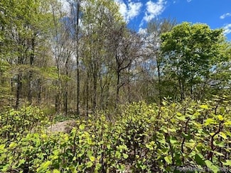 0 Westledge Terrace Unit LOT 19 24042325, Torrington, CT 06790