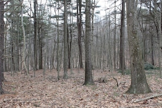 0 Longhorn Rd Unit LotWP009 23144463, Union Township, PA 16652