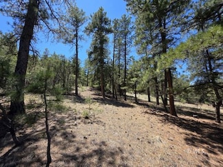 70 Arthur Ln, Texas Creek, CO 81223