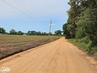 0 Baker Whatley Rd Unit County Road 519, Midland City, AL 36350