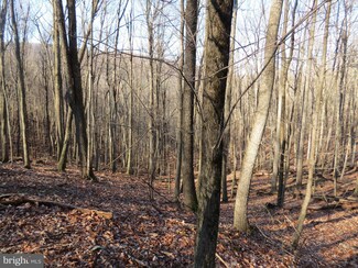 14A Cedarwood Drive Rd, Mathias, WV 26812