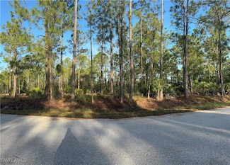 1221 Canton Ave, Lehigh Acres, FL 33972
