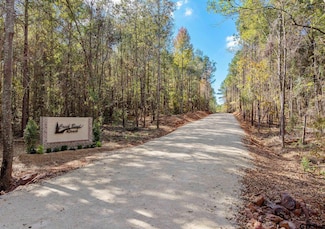 Lot 8 Creek Bend Trail, Troup, TX 75789