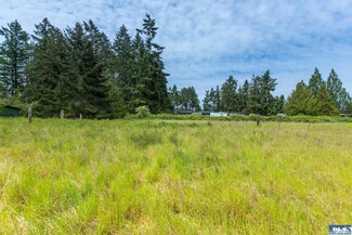Lot 3 Potter SP River Rd, Sequim, WA 98382