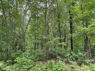 Lot 33 Highland Trail, Roscommon Township, MI 48629