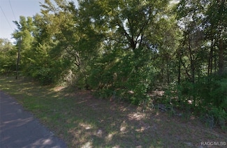 2031 W Beach Plum Dr, Citrus Springs, FL 34434