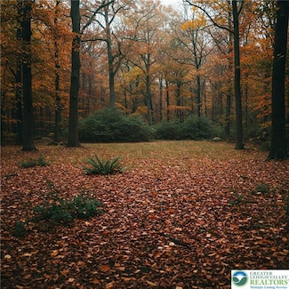 102 Heavenly Valley Dr, Tafton, PA 18464