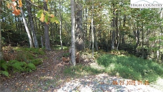 000 Glen View Rd, Boone, NC 28607