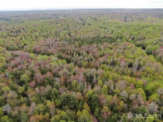 0000 County Road 577 Unit Anna River RDP, Munising, MI 49862