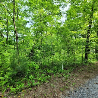 4 Oak Forest Acres, Hayesville, NC 28904