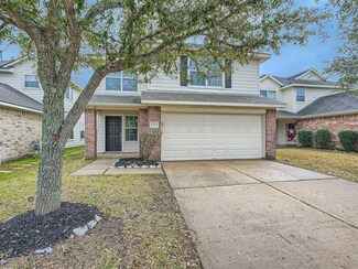 14419 Benningcrest Ln, Houston, TX 77047