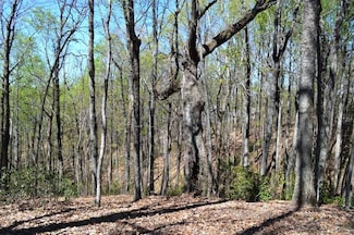 0 Laurel Valley Way, Travelers Rest, SC 29690