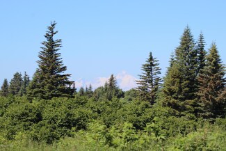 17180 Hyila Ln, Ninilchik, AK 99639